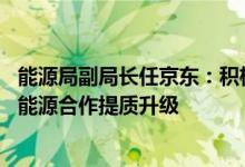 能源局副局长任京东：积极打造可再生能源示范性项目 推动能源合作提质升级