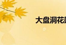 大盘洞花鼓戏 大盘时间
