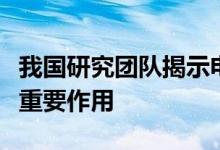 我国研究团队揭示电荷转移过程中核量子效应重要作用