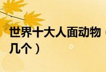 世界十大人面动物（长得像人脸的动物你见过几个）