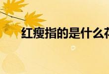 红瘦指的是什么花（红瘦是指哪种花）