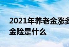 2021年养老金涨多少钱 悦未来2021养老年金险是什么
