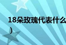 18朵玫瑰代表什么（18朵玫瑰代表什么意思）