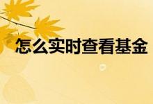怎么实时查看基金 怎么实时查看基金收益