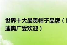 世界十大最贵帽子品牌（世界上最贵的帽子品牌有哪些LV和迪奥广受欢迎）
