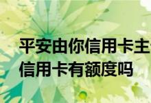 平安由你信用卡主卡额度多少 请问平安由你信用卡有额度吗