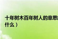 十年树木百年树人的意思解释（十年树木百年树人的意思是什么）