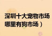 深圳十大宠物市场（深圳宠物市场在哪里深圳哪里有狗市场）