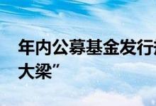 年内公募基金发行规模超6000亿元债基“挑大梁”
