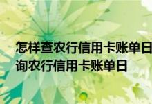 怎样查农行信用卡账单日 什么是农行信用卡账单日 怎么查询农行信用卡账单日