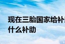 现在三胎国家给补助多少钱 现在三胎国家有什么补助