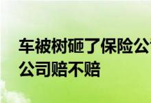 车被树砸了保险公司赔不赔 车被树砸了保险公司赔不赔