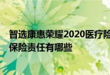 智选康惠荣耀2020医疗险有什么用 友邦智选康惠荣耀2020保险责任有哪些