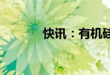 快讯：有机硅概念股震荡拉升