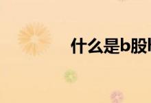什么是b股h股 什么是b股 