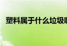 塑料属于什么垃圾啊（塑料属于什么垃圾）