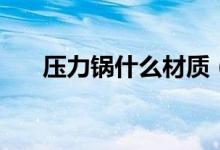 压力锅什么材质（压力锅什么品牌好）