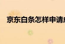 京东白条怎样申请成功 京东白条怎样申请