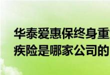 华泰爱惠保终身重大疾病保险 爱惠保终身重疾险是哪家公司的