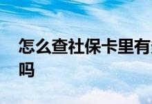 怎么查社保卡里有多少钱 可以转到银行卡里吗 