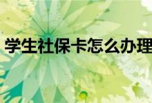 学生社保卡怎么办理 查询社保的条件有哪些 