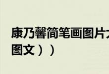 康乃馨简笔画图片大全漂亮（康乃馨简笔画（图文））