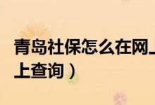 青岛社保怎么在网上办理（青岛社保怎么在网上查询）