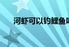 河虾可以钓鲤鱼吗（河虾可以养殖吗）