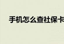 手机怎么查社保卡余额 异地使用可以吗 