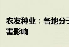 农发种业：各地分子公司经营没有受到洪涝灾害影响
