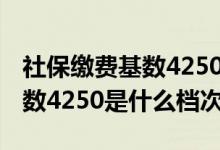 社保缴费基数4250退休能拿多少 社保缴费基数4250是什么档次 