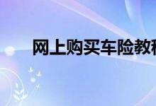 网上购买车险教程 网上购车险怎么买