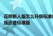 花呗新人版怎么升级标准版技巧 怎么知道自己的花呗是新人版还是标准版