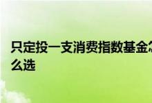 只定投一支消费指数基金怎么选 只定投一支消费指数基金怎么选
