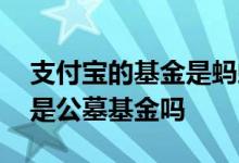 支付宝的基金是蚂蚁基金吗 支付宝的基金都是公墓基金吗