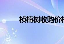 桢楠树收购价格（桢楠树是什么）