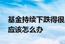 基金持续下跌得很厉害应该怎么办 基金暴跌应该怎么办