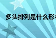 多头排列是什么形状 多头排列是什么意思