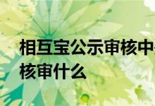 相互宝公示审核中是谁在审核 相互宝公示审核审什么