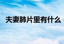 夫妻肺片里有什么（夫妻肺片里有肺片吗）