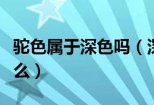 驼色属于深色吗（深驼色和浅驼色的区别是什么）