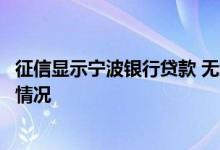 征信显示宁波银行贷款 无缘无故被宁波银行查了征信是什么情况
