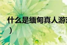 什么是缅甸真人游戏（什么是缅甸猫（图文））