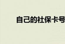 自己的社保卡号怎么查看 哪里看到 
