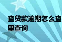 查贷款逾期怎么查询 个人贷款当前逾期在哪里查询