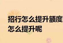 招行怎么提升额度呢 招行想提升永久性额度怎么提升呢