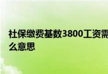 社保缴费基数3800工资需扣除多少 社保缴费基数3800是什么意思 