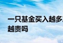 一只基金买入越多净值越大吗 基金净值越大越贵吗