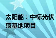 太阳能：中标光伏+乡村振兴产业发展能源示范基地项目