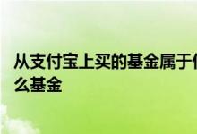 从支付宝上买的基金属于什么基金 支付宝购买的基金属于什么基金